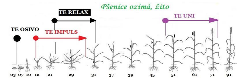 aplikace přípravků TE na vývojové fáze růstu pšenice ozimé