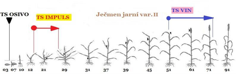 aplikace přípravků TS (Trisol farm) na vývojové fáze růstu ječmene jarního